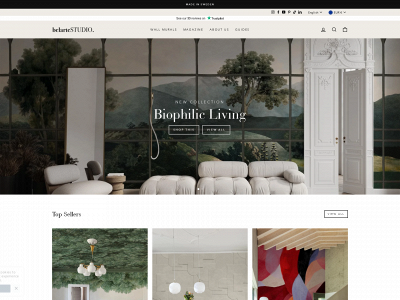 belartestudio.com snapshot