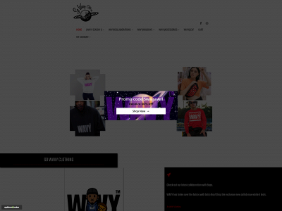 sowavy.com snapshot
