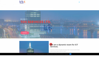 tdstechng.com snapshot