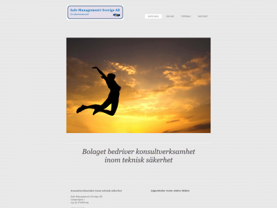 safe-management.se snapshot