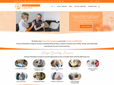 streamofsunshinecaregivers.com snapshot