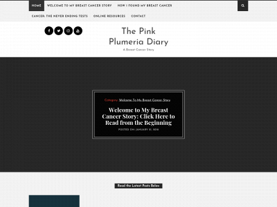 thepinkplumeriadiary.com snapshot