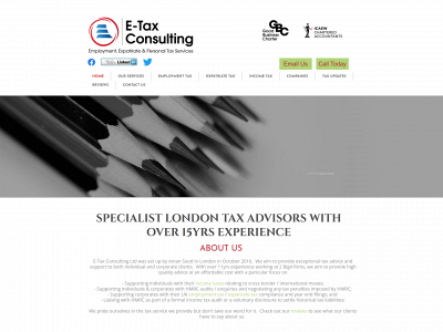 e-taxconsulting.com snapshot