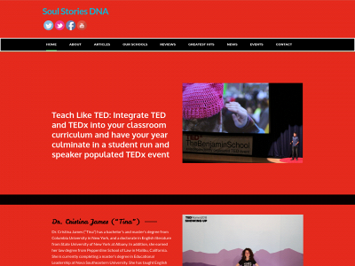 soulstoriesdna.com snapshot
