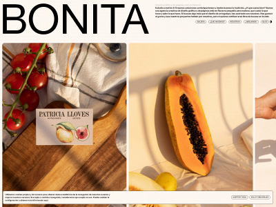 bonitaestudio.com snapshot