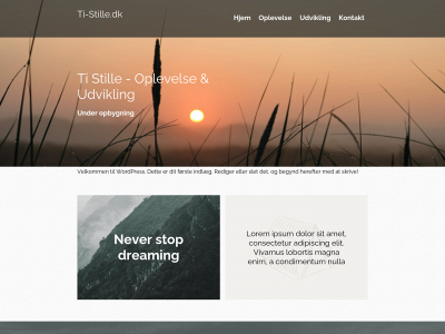 ti-stille.dk snapshot