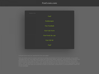 fzef.com.com snapshot