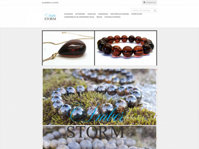 amberstorm.lt snapshot