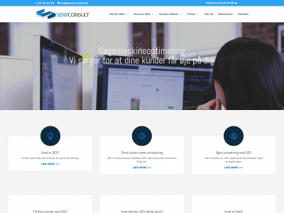 serpconsult.dk snapshot