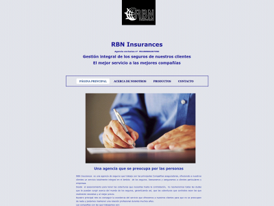 rbninsurances.com snapshot