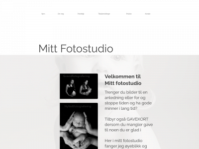 mittfotostudio.no snapshot