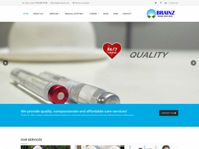 brainzllc.com snapshot