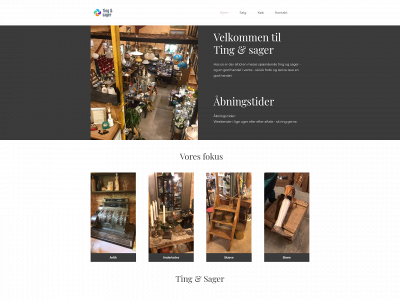 tingogsager.com snapshot