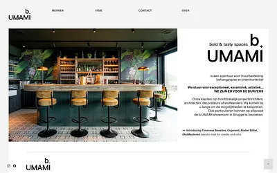 b-umami.be snapshot