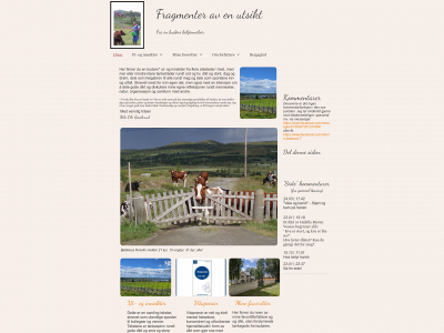 budoeren.com snapshot