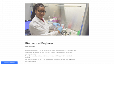 science10career.weebly.com snapshot