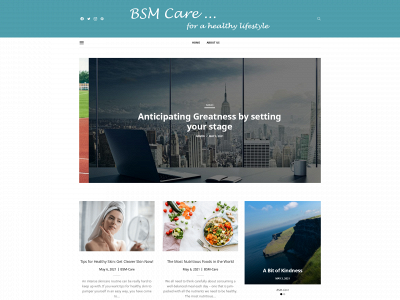 bsmcare.ca snapshot