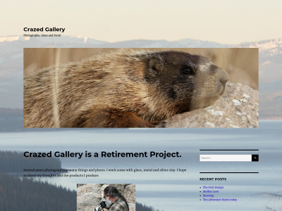 crazedgallery.com snapshot