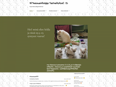 aamentassu.fi snapshot