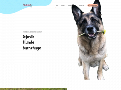 lillshundeglede.no snapshot