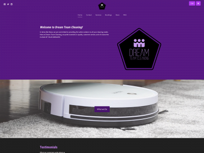 dtcleanup.com snapshot