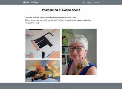 galleriselma.dk snapshot