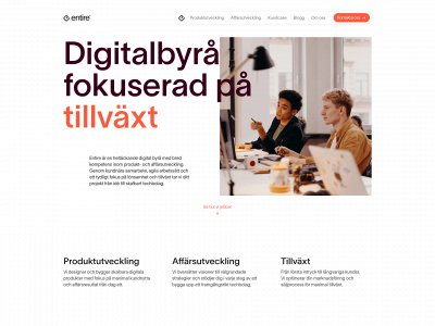 entireagency.se snapshot