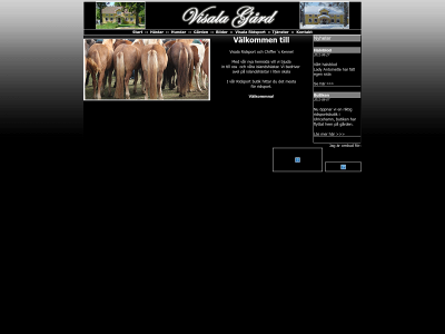 visala.se snapshot