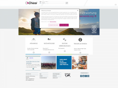 chiesigmbh.de snapshot