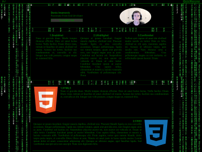 denis-imamovic-blogg.one snapshot