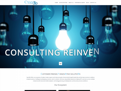 cyan360.com snapshot