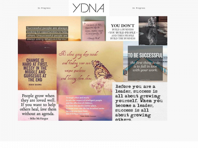 ydna.be snapshot