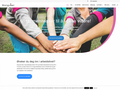 songvaar.no snapshot