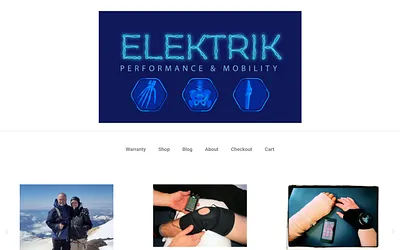 elektrikpm.com snapshot