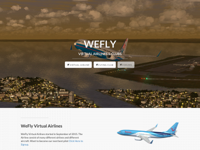 weflyfsx.com snapshot