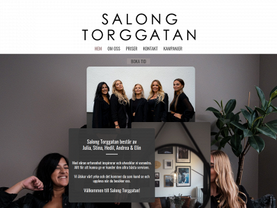 salongtorggatan.se snapshot