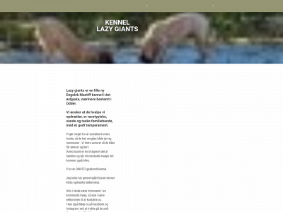 lazygiants.dk snapshot