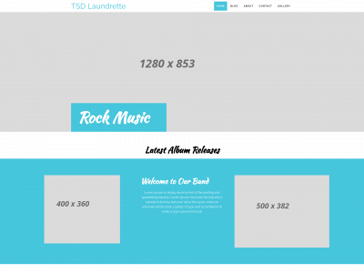 tsdlaundrette.com snapshot