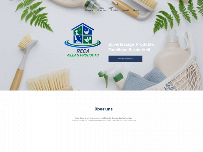 recaclean.ch snapshot