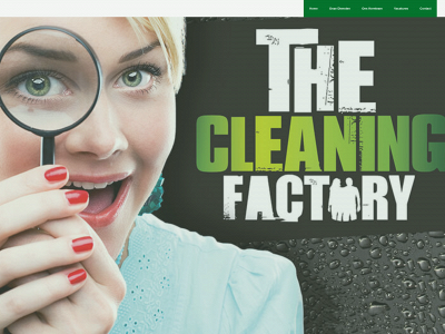 cleaningfactory.be snapshot