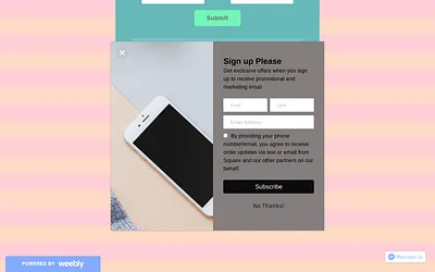 pdtsaab.weebly.com snapshot