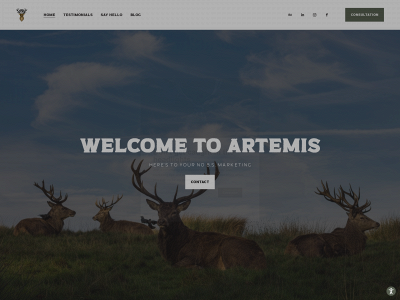 artemismarketing.co snapshot