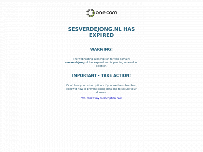 sesverdejong.nl snapshot