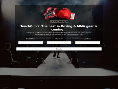 touchglovz.com snapshot