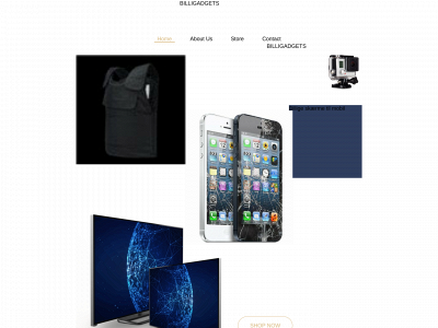 billigadgets.dk snapshot