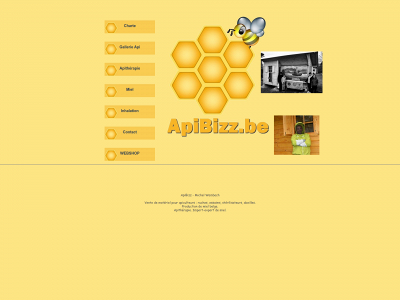 apibizz.be snapshot