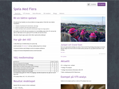 spelamedflera.se snapshot