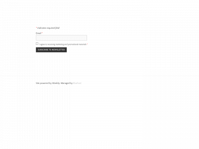rokkamgroup.com snapshot