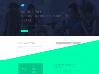 webstrixseo.dk snapshot