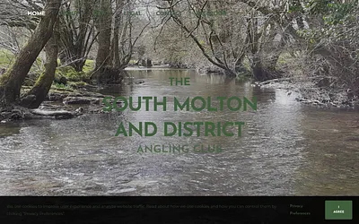southmoltonanglingclub.co.uk snapshot